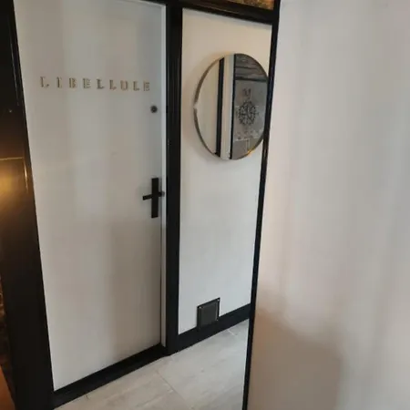 Libellule Industrie Massy (Essonne)
